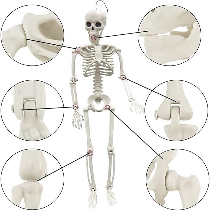 π Halloween Skeleton Decoration π Scary Skull Bones for Fright Night